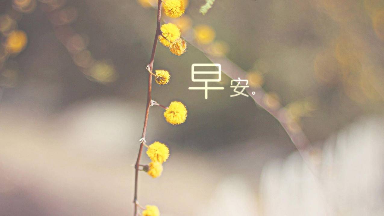 抖音真人点赞24小时在线微信|刷qq访客|抖音点赞购买网站|小红书流量购买